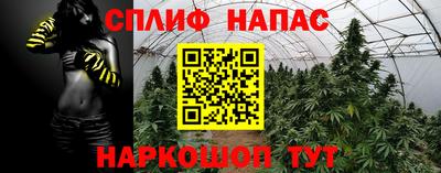 кокс Краснодар